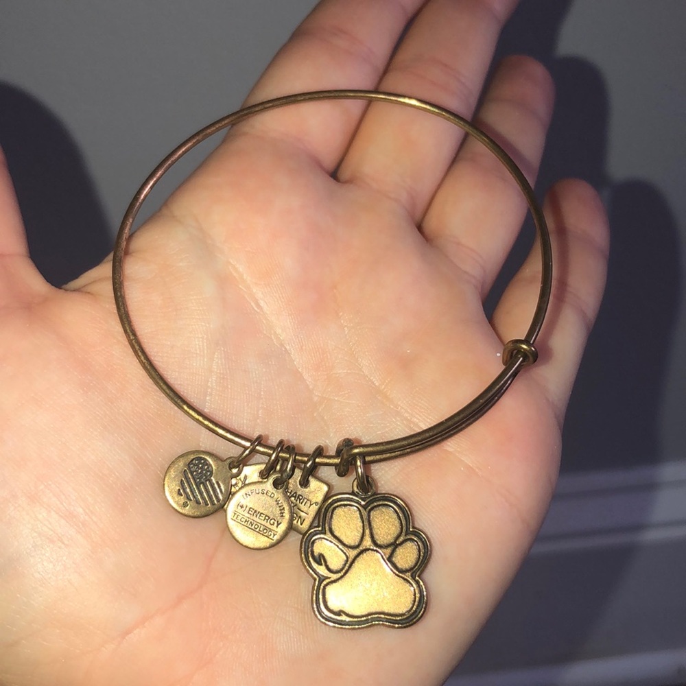 Paw print Alex and Ani bracelet